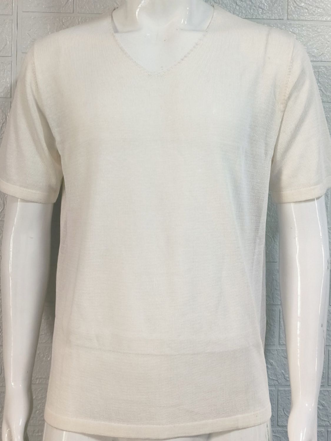 Men's V-Neck Short Sleeve T-Shirt.